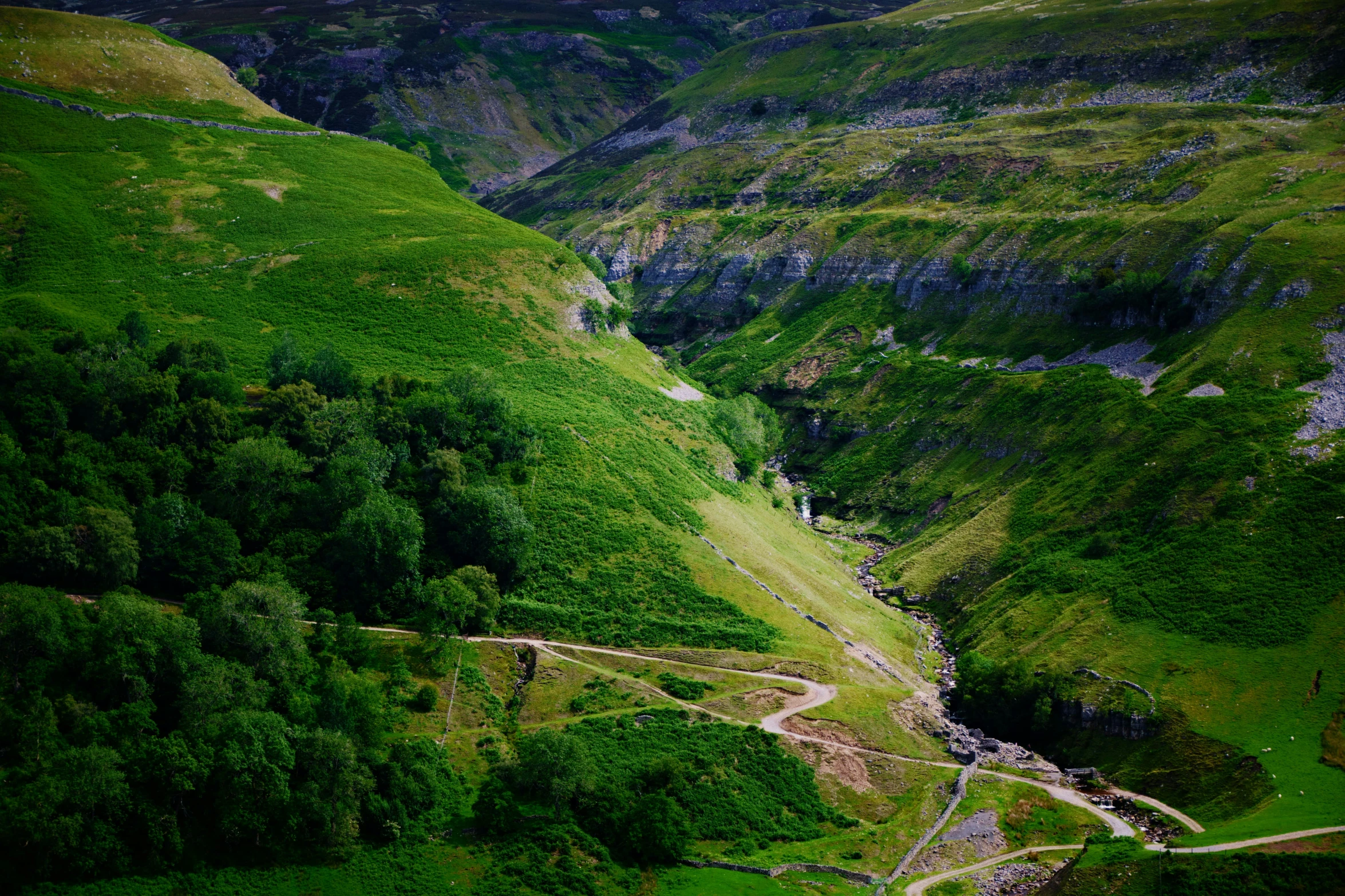 a valley with lots of green trees and mountains