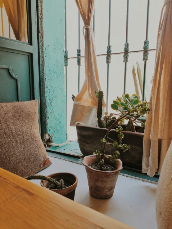 there are some potted plants sitting on a table near a window