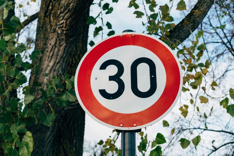 there is a traffic sign under some trees