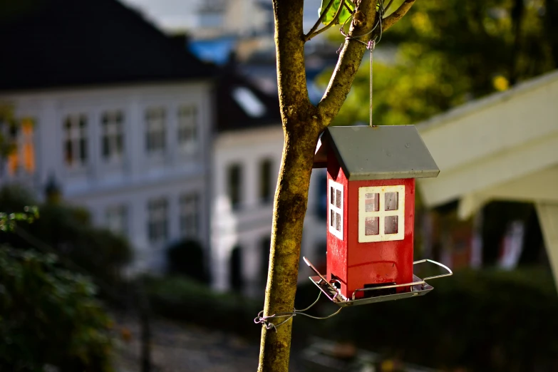 a red bird house sits on a tree nch