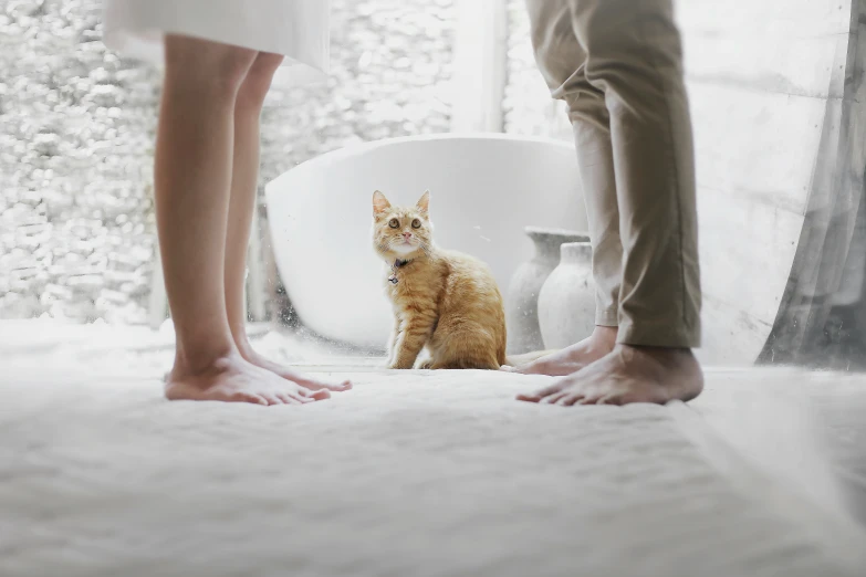 a person standing next to a cat on the floor