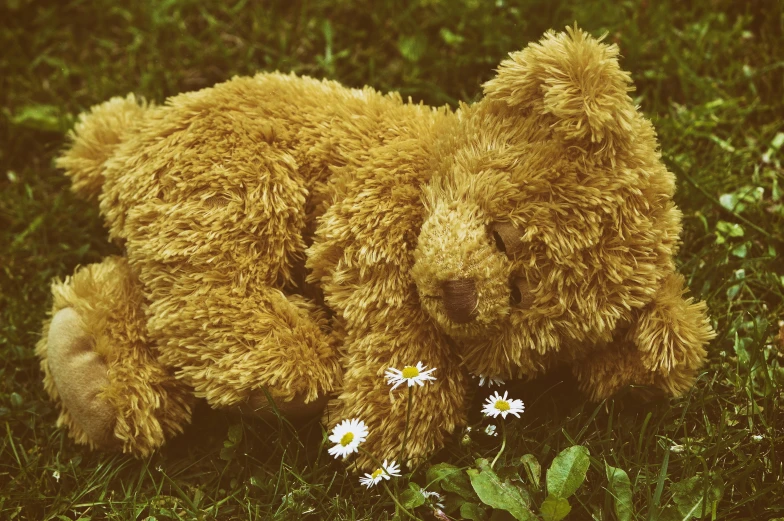 a stuffed teddy bear is sitting in the grass