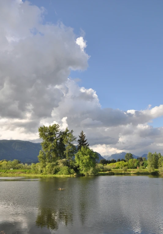 there is a lake with trees near it