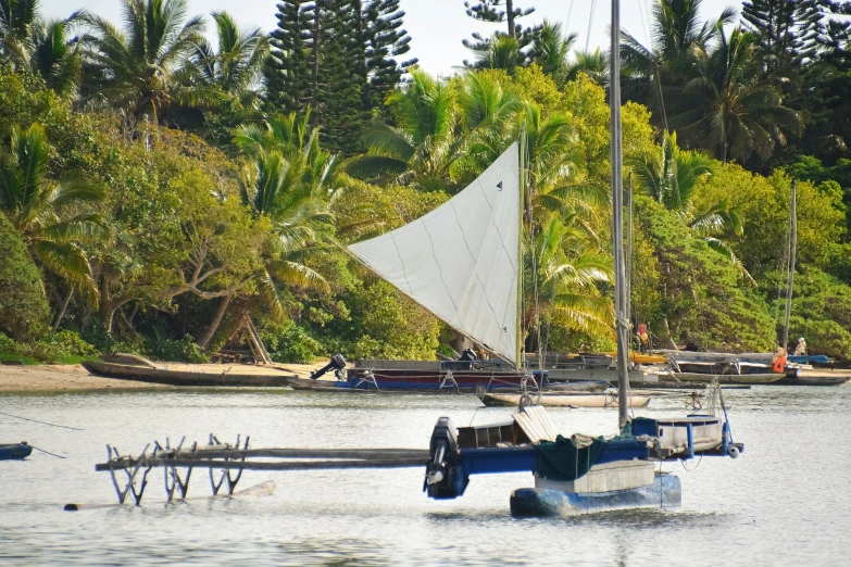 a small boat on the water with a sail