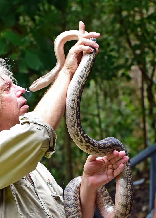 man is trying to bite and take a snake out