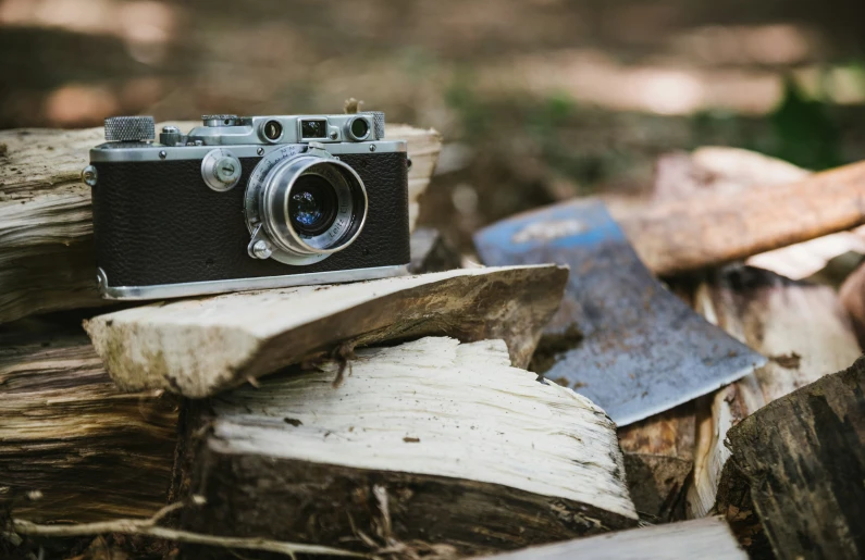 a camera laying on top of a tree log