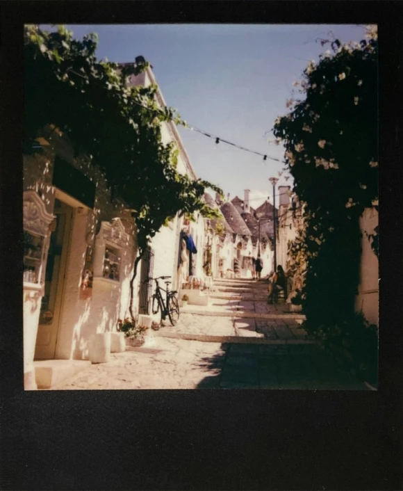 an empty street with many houses and plants