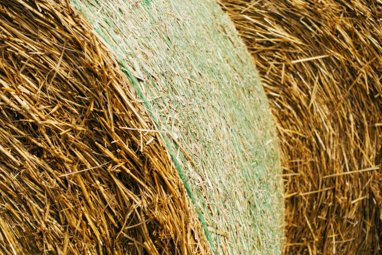 several rolls of hay with green lines in the center