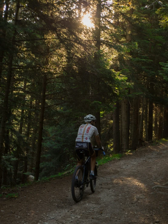 a man riding a bicycle down a forest trail