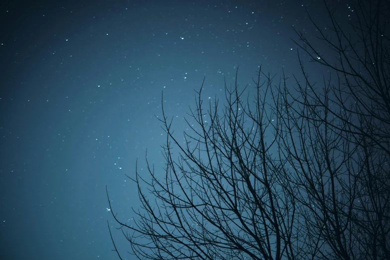 a night sky with stars and trees in silhouette