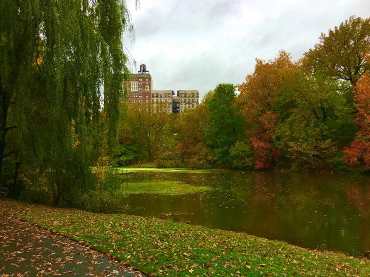 a pond with yellow, red and green foliage near a city