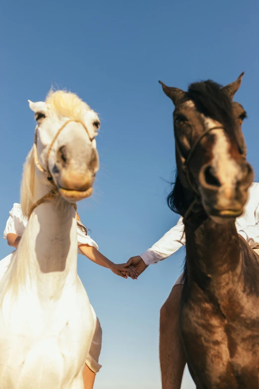a man is holding the hand of another horse