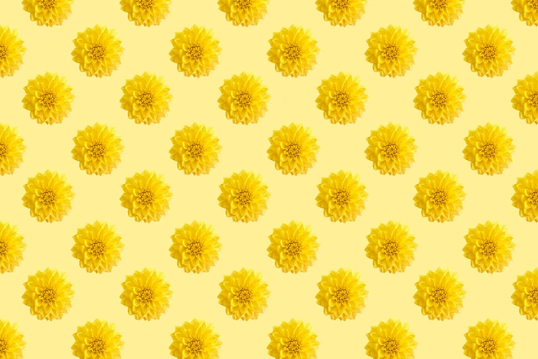 an illustration of a big yellow flower on a light yellow background