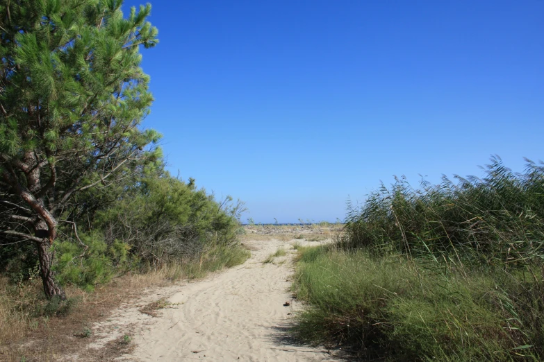 this is the same road that you can take if the beach