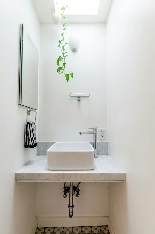 a bathroom sink with a white counter and a large plant hanging above it