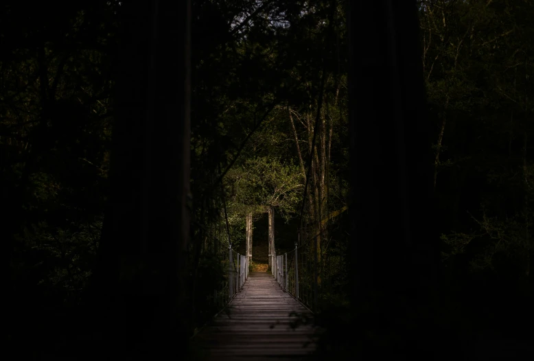 a dark pathway leading to a walkway through a forest