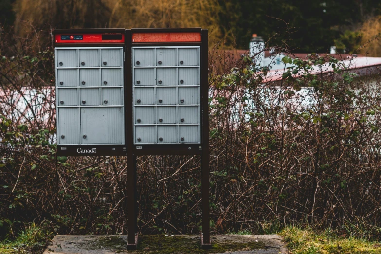 two metal filing cabinets in front of plants