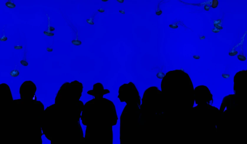 group of people stand in front of a blue background