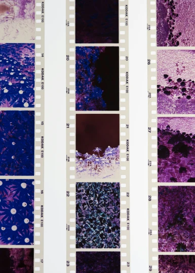 a variety of film strips with various pictures on them