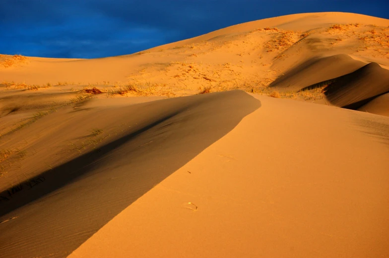 some desert and some brown sand bushes and clouds