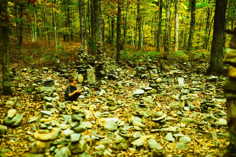 a man in the woods among many rocks