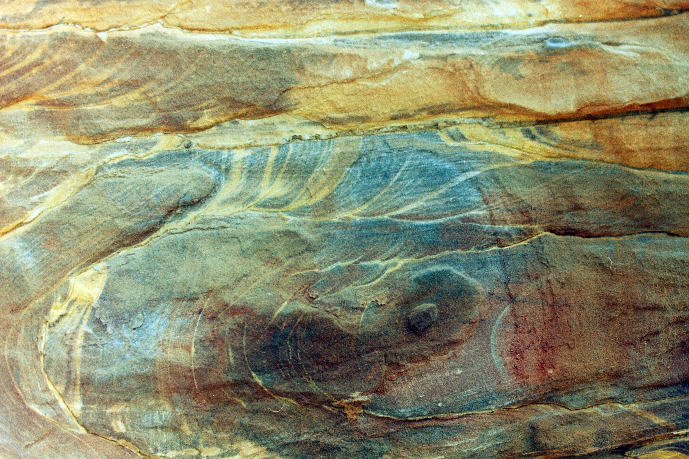 a rock that has a very large, interesting design on it