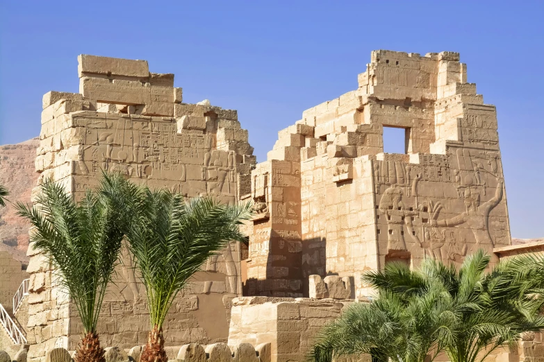 large brick buildings next to palm trees and some rocks