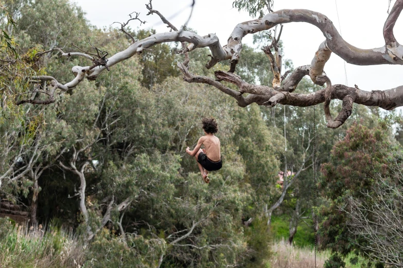 a person in black shorts on a tree swing