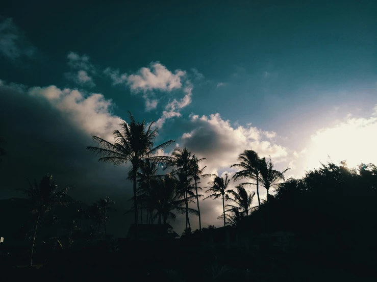 the sun is shining behind several palm trees