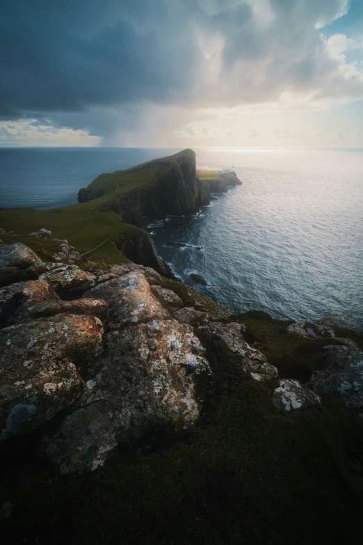 a lone bear standing on a large rock above a body of water