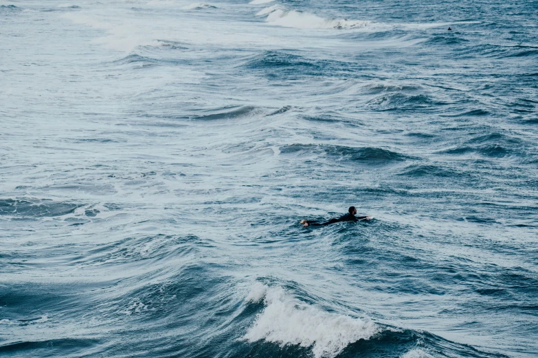 a person in a body of water on top of a surfboard