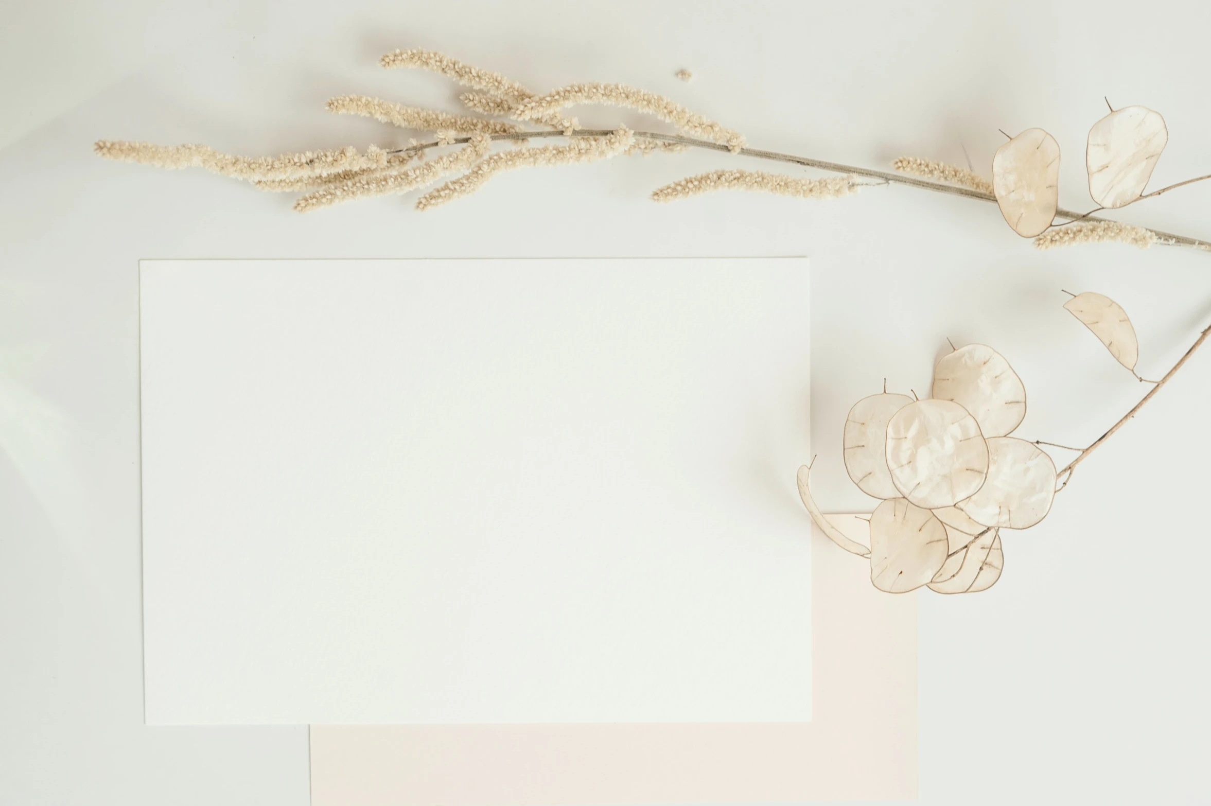 two blank paper pieces on a white table with a stem