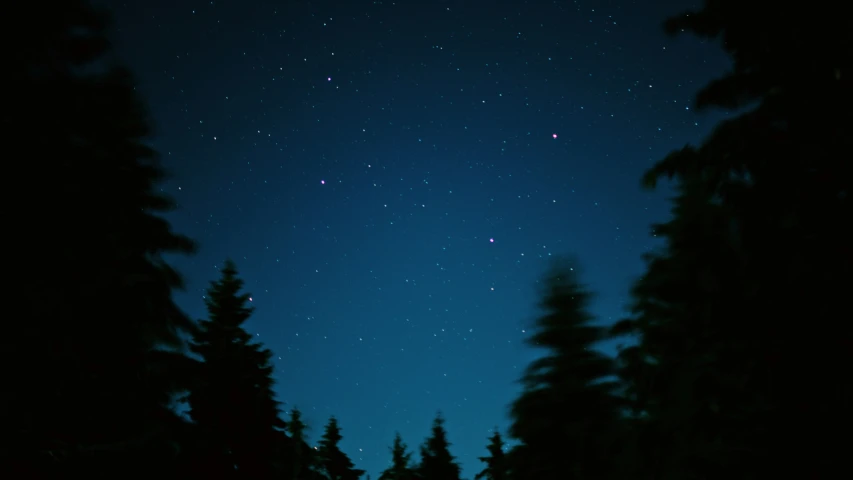 a night sky with many stars and trees