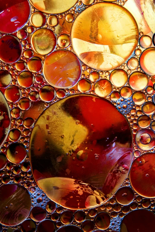 water droplets cover glass on a tray that looks like many small, round, glass discs