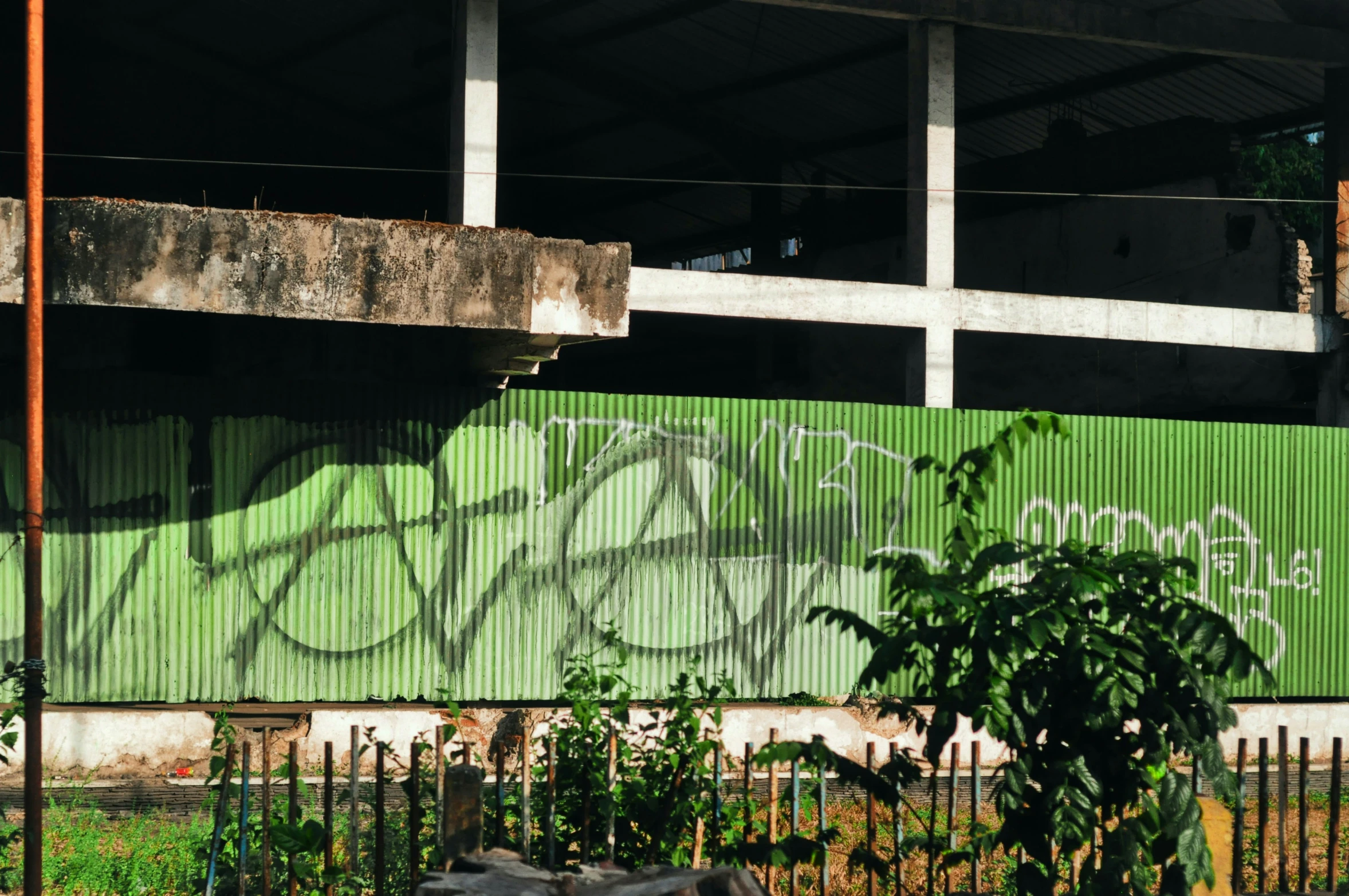a building with green graffit is seen behind an iron fence