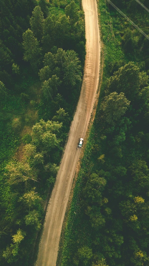 an suv driving down a dirt road between trees