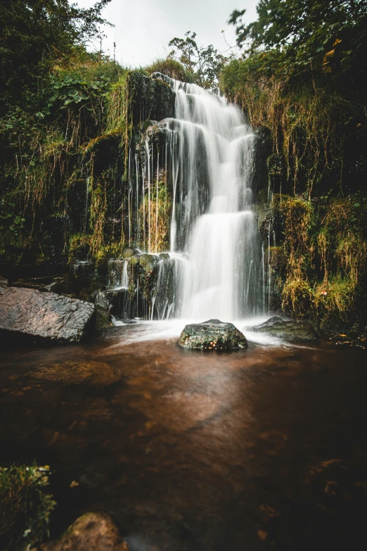 the waterfall was very close to the treetop