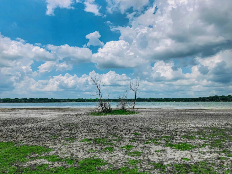 a view looking across the water from an island