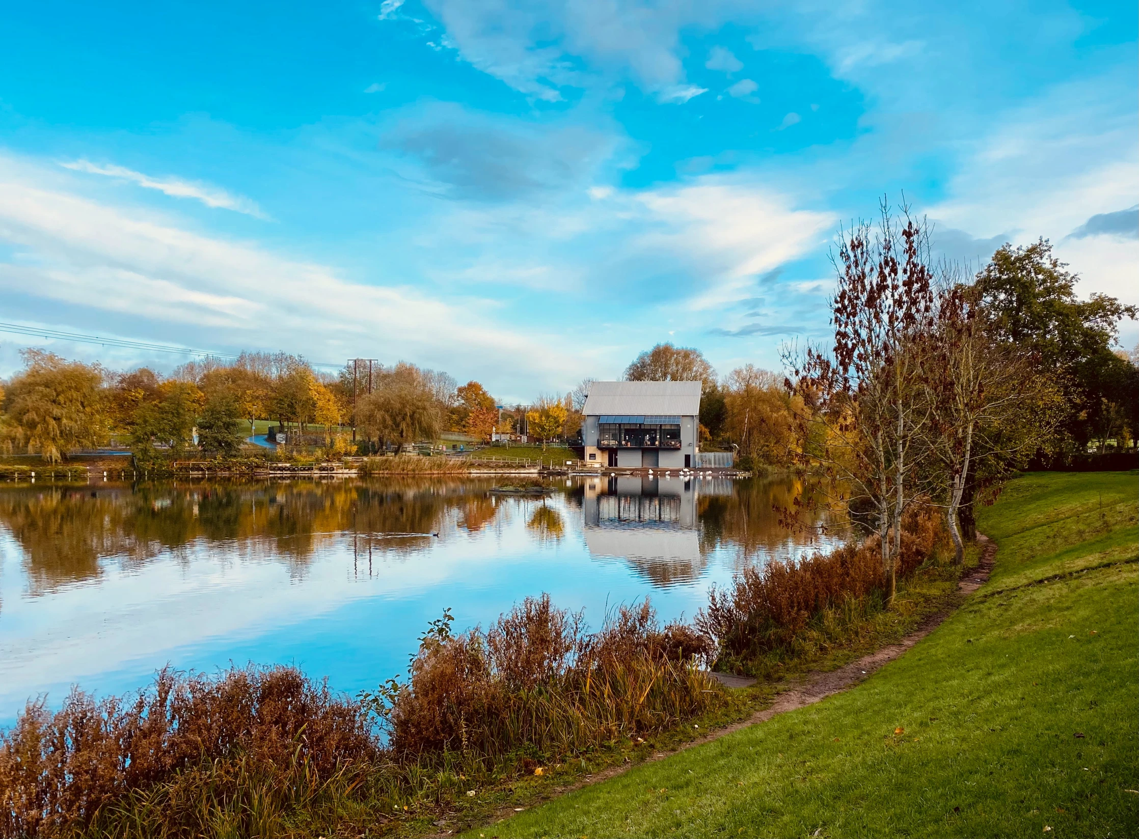 a small body of water with grass and trees around it