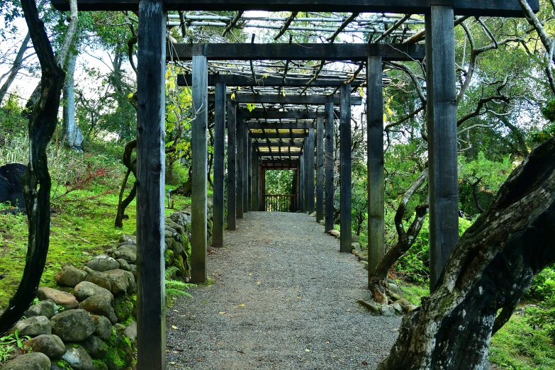 a wooden archway and walkway in the woods