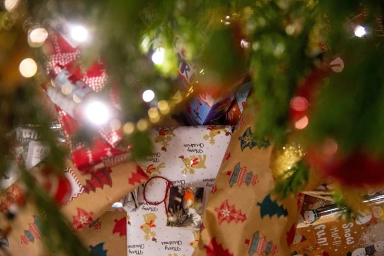 tree with lights and decorations and card on it