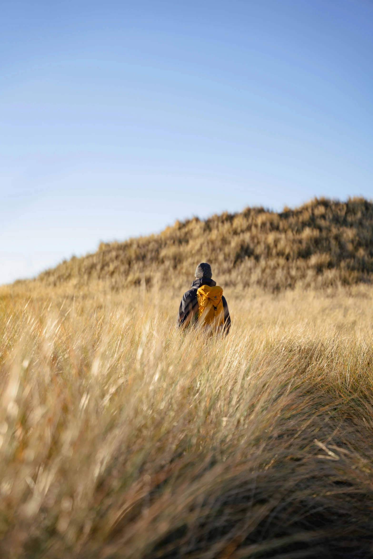 a person walking through a field with tall grass