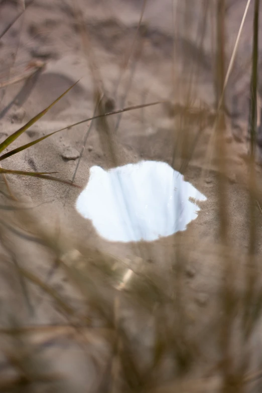 a white piece of dirt with a grass and weeds in the background