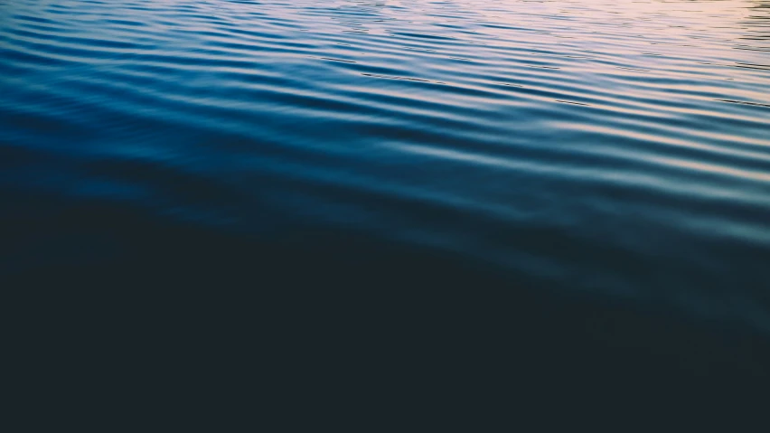 water reflecting the sun and trees with a sky background