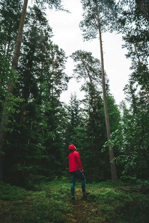 a person stands on the ground in front of some trees