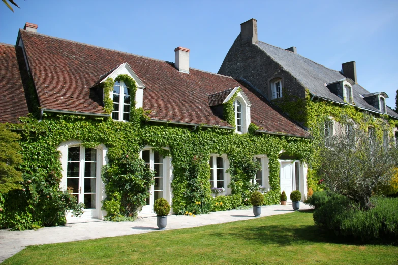 an elaborate house covered in ivy on the side of a hill