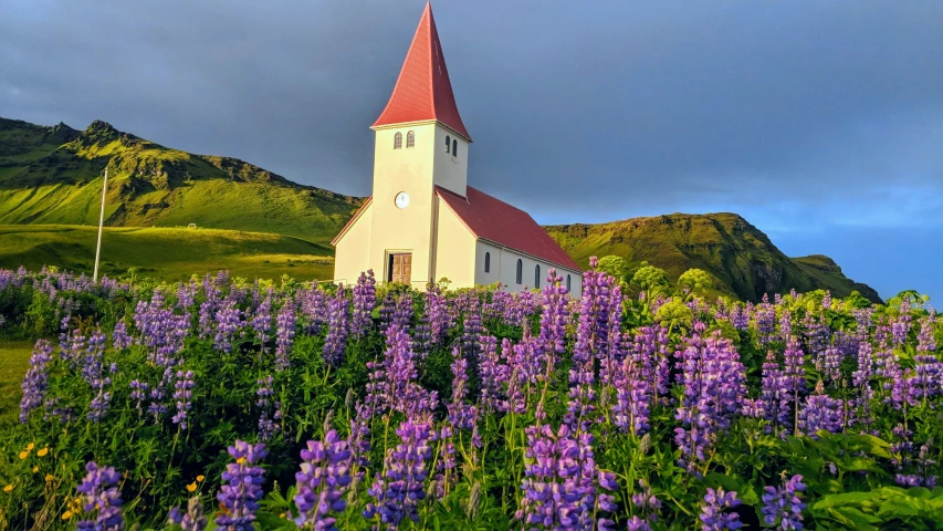 a white church with a red roof surrounded by wildflowers