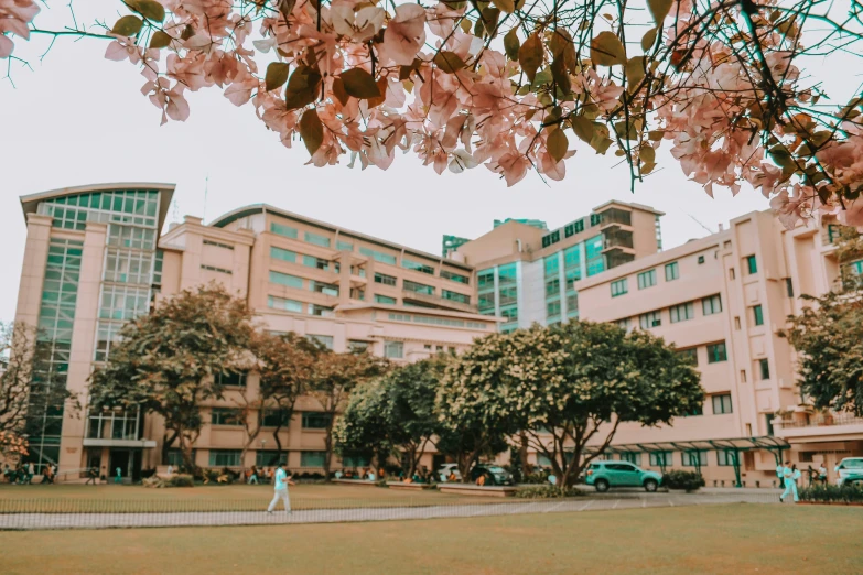 people walking in the grass and the building is very large