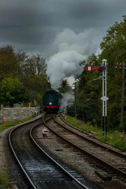 a train on tracks with smoke rising from the stack