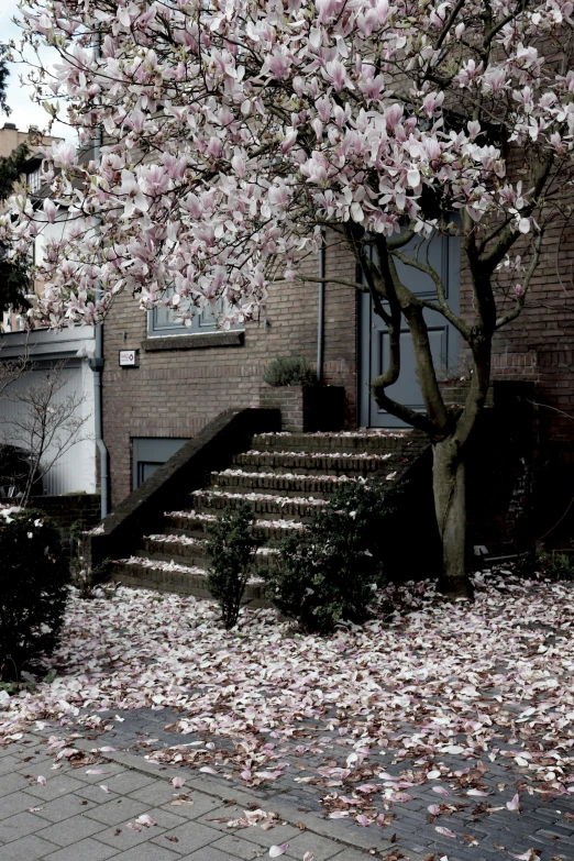 a stairway between a brick home and a tree